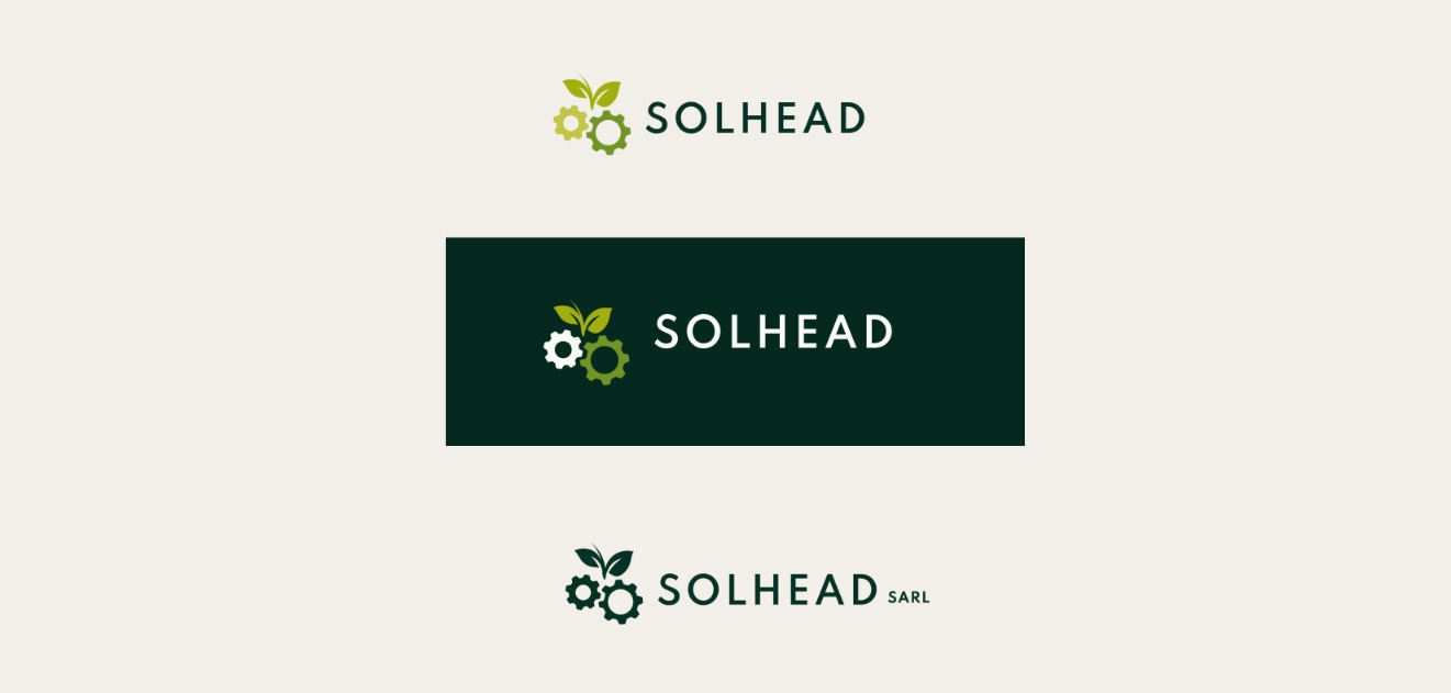 Création de la charte graphique et du logo de SOLHEAD